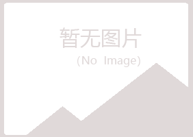 烈山区空梦会计有限公司